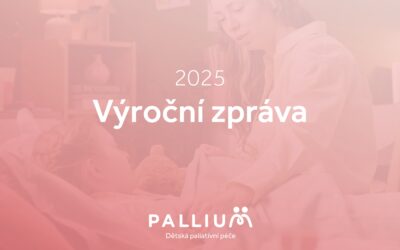 Výroční zpráva 2025